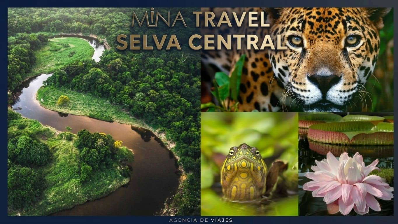 Escapada a Oxapampa y Pozuzo